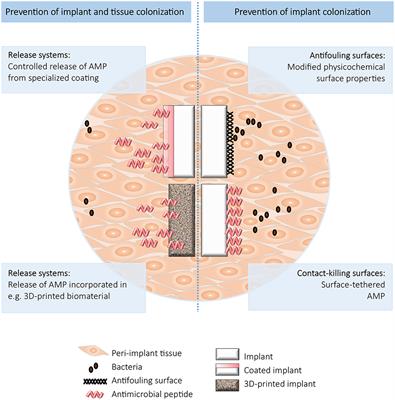 Antimicrobial Peptides in Biomedical Device Manufacturing